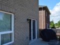 m_DSC_0042