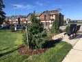 IMG_1272