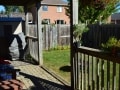 m_DSC_0034